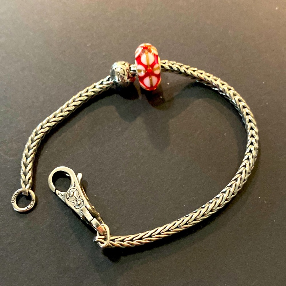 Trollbeads Starter Bracelet.